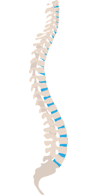 Dorn-Breuss Wirbelsäulentherapie